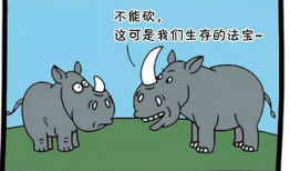 漫画犀牛,穿越丛林探险之旅